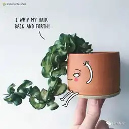 拟人的创意插画一