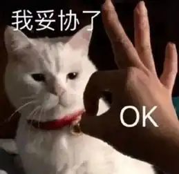 与宿管斗智斗勇的我必败无疑