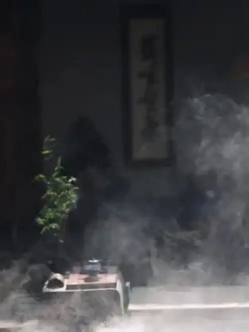 一觉茶日子放松解压疗愈小院时光治愈系摄影江南太美