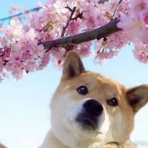 loft独厨独卫整租3150住在这里脱单了,搬出大主卧