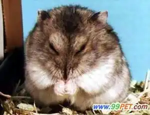 是情侣的就进来急急急