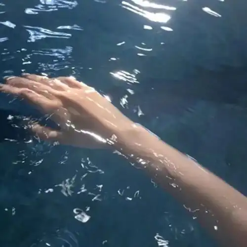 背景图细腻的美好,藏在生活各处