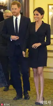 哈里王子夫妇出席公益晚会黑色系情侣装登对养眼