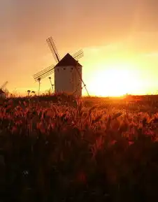 唯美意境紫色壁纸桌面