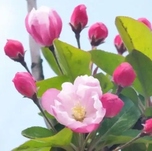 进入3月运势逆袭,4属相横财不断,事业蒸蒸日上,喜事多见