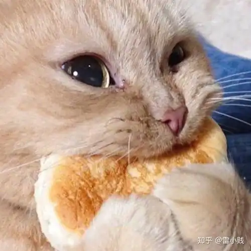 各类神仙软件永久版大全