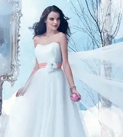 那些年童话故事里的美丽新娘