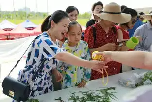 今天,国内网红大咖齐聚海宁一上市公司现场