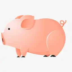 2019年卡通猪年的动物设计免费下载高清png图片90设计网