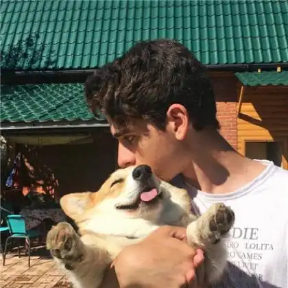 男生抱猫抱狗头像,分享给爱宠物的男生们