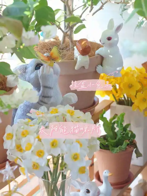 6㎡阳台,低成本布置一个治愈系阳台小花园,享受城市田园乐趣