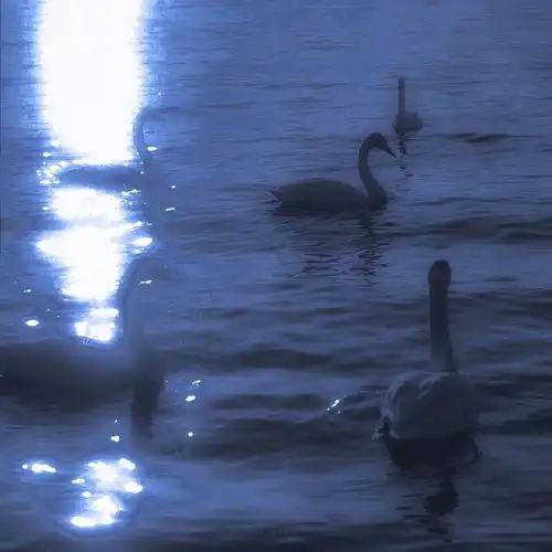 很奈斯的wechat背景图