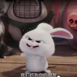 爱宠大机密丽颖微博头像小兔子各种照,这些剧情记得真爱粉么