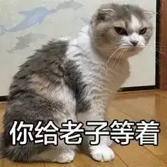 微信头像卡通人和猫吸猫