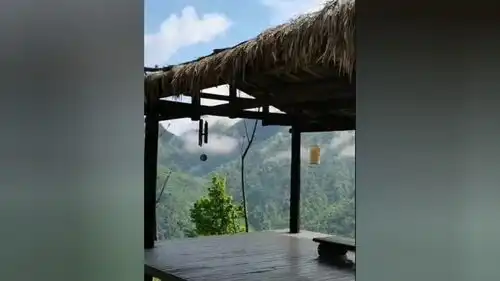 琴声悠扬治愈系风景一起享受大自然的美大山深处自然美