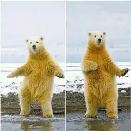 军训求雨专用歌单