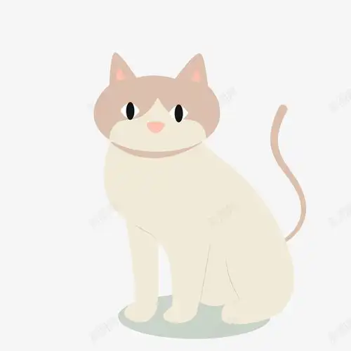 卡通宠物店里的猫咪矢量图免费下载页面网页平面电商创意素材宠物店素材
