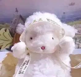 唯美语录世界上唯一比被爱更幸福的,就是去爱