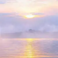 女人微信头像带来好运花朵风水好