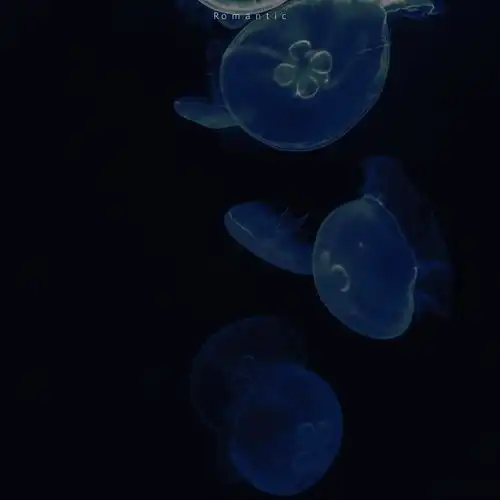 好多话忍着憋着后来就懒得说了唯美图片我要个性网