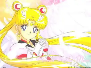 这五辆自行车,看起来很美好,实则很糟糕,还有只野兔绞死在车轮中