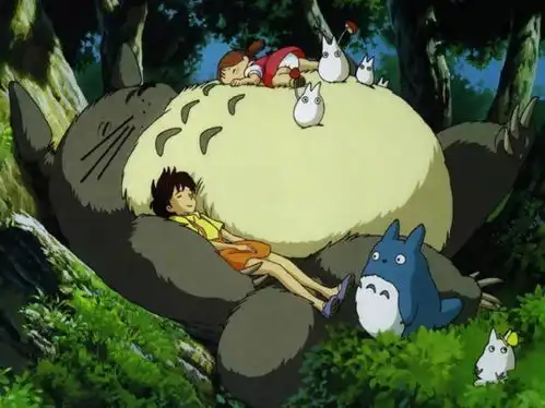 看龙猫这部动漫,追念我所失去的,同时感恩自己得到的