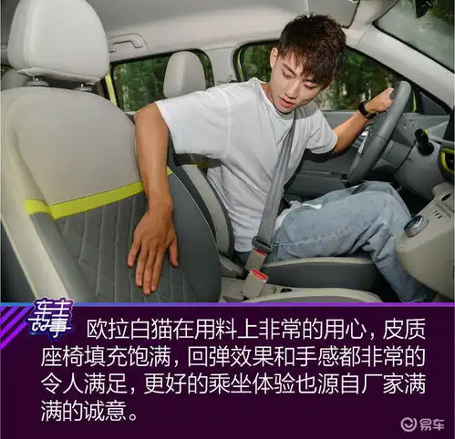 猫系青年的欧拉白猫深度吸猫指南