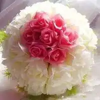 浪漫一点的背景微信头像图片大全