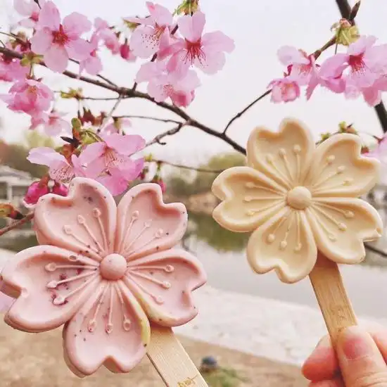 北京市属公园最全赏花攻略来了,附最佳观赏点