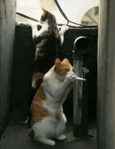 这个剧的名字就应该改成10年闺蜜和10年男友搞在了一起