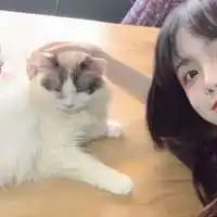 白色系头像沙雕情头