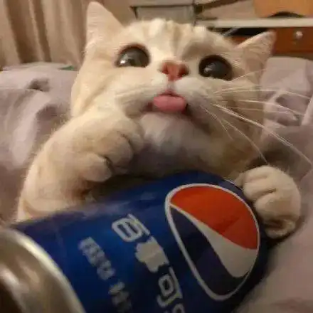 九月朋友圈文案短句风已经是秋天的味道了