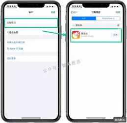 苹果旧版应用下载,突破系统限制