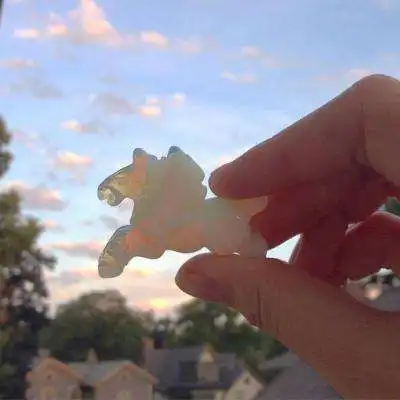 火爆福建导航app