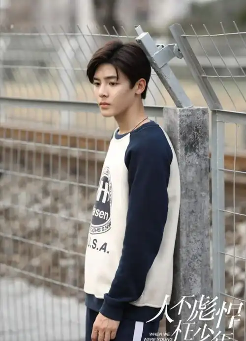 十部男主是校园学霸的电视剧,你曾都追过哪一部