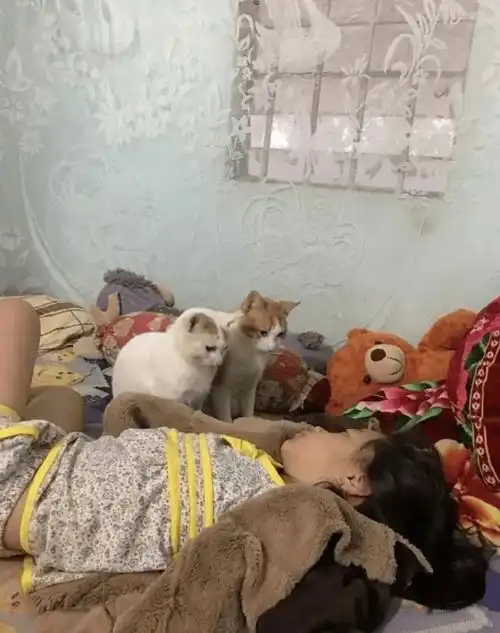 全国爸爸们统一的微信头像哈哈哈评论区过于真实