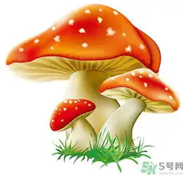 尖牙橙色动漫蘑菇头像