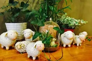 韩国女生日常爱去的地方