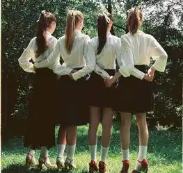 锦瑟华年谁与度