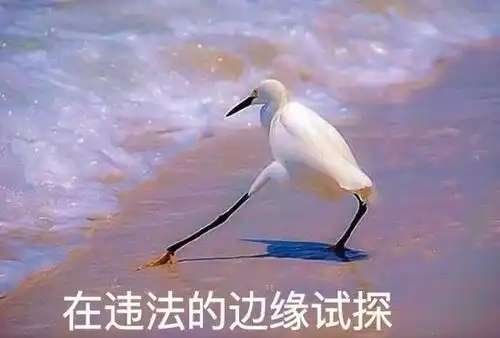 观影避雷针有种实力叫皮克斯原创,本周这部暖心治愈系动画必看