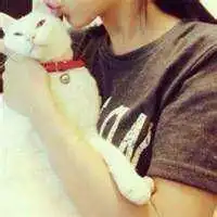 猫系女孩配什么系的男孩情侣头像