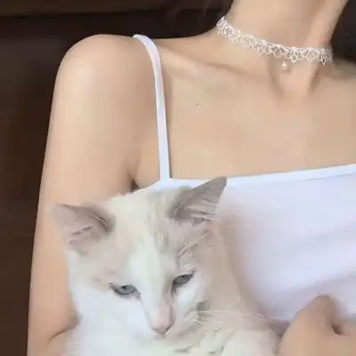 ins钕少御我甜甜的好贴心.