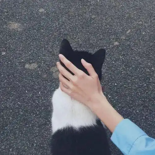 生而为人,必须有趣生活