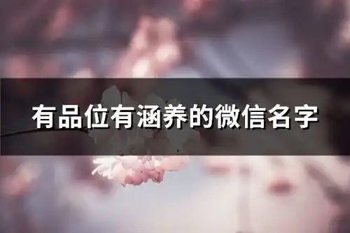 有品位有涵养的微信名字共393个