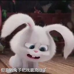 爱宠大机密丽颖微博头像小兔子各种照,这些剧情记得真爱粉么