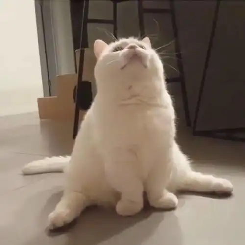 ins风头像配图壁纸