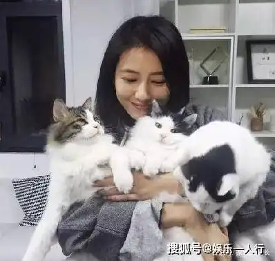 高圆圆住北京7千万别墅,专门一面柜子装高跟鞋,一家3口幸福