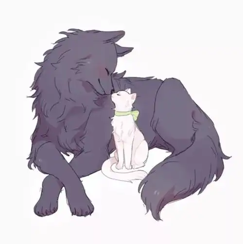 动漫情侣头像先活着其他的在慢慢想办法