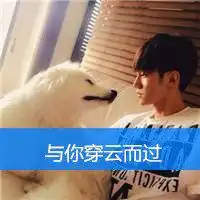 人生如梦似水流年头像微信头像图片大全