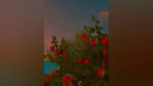 这种晚霞真的的很美,你会分享给谁治愈系风景